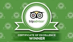 tripadvisor dublin restaurant reviews
